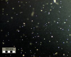 Поликарбонат САНЕКС с микросферами в масштабе 300 мкм